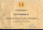 сертификат ФЭСЭ